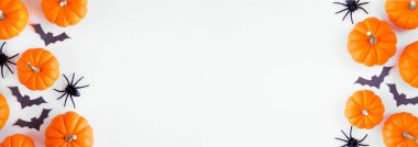 Halloween double border of black and white pumpkins with bats and spiders. Overhead view on a white banner background. Copy space.