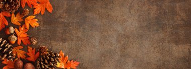 Renkli yapraklar, fındıklar ve kozalaklar. Köşe sınırı, kırsal bir arka plan üzerinde. Kopyalama alanı ile genel görünüm.