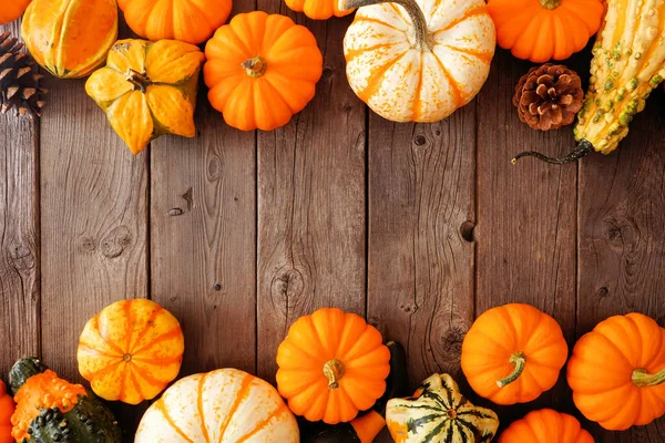 Herbst Doppelte Einfassung Von Kürbissen Kürbissen Und Tannenzapfen Overhead Ansicht — Stockfoto