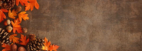 Kleurrijke Herfstbladeren Noten Dennenappels Hoek Grens Een Rustieke Donkere Banner — Stockfoto
