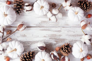 Beyaz balkabağı ve kahverengi sonbahar dekoru. Kopya alanı olan beyaz ahşap bir arkaplanda görünümün üzerinde.