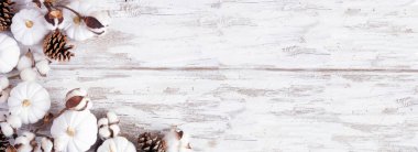 Beyaz balkabaklarının ve kahverengi sonbahar dekorunun sonbahar köşesi. Kopya alanı olan beyaz ahşap bir arkaplanda tepeden aşağı görünüm.