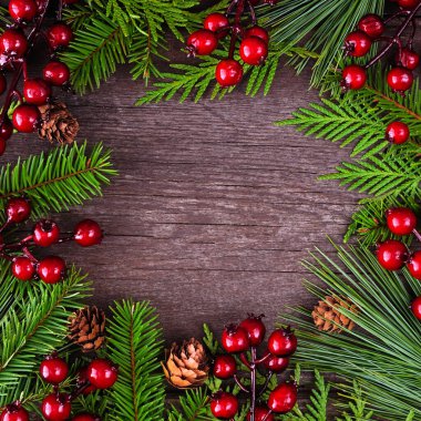 Her zaman yeşil dalları, kırmızı böğürtlenleri ve çam kozalakları olan bir Noel çerçevesi. Kare koyu ahşap bir arkaplanda kopya alanı ile tepeden aşağı görünüm.