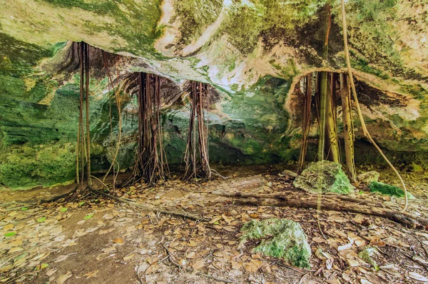 Caverna indiana em Caicos Médio ilha, Turcos e Caicos, Caribe — Fotografia de Stock