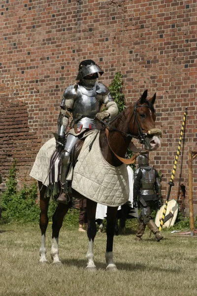 Рыцарь на коне — стоковое фото