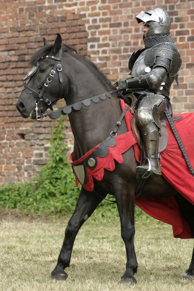 Caballo a caballo — Foto de Stock