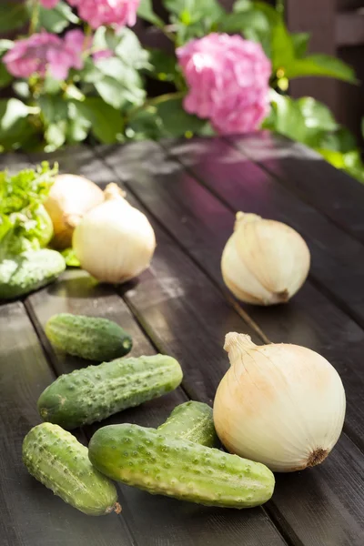 Pepino — Fotografia de Stock