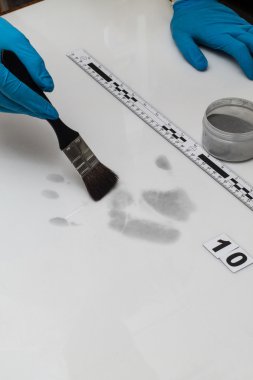 Fingerprint clipart