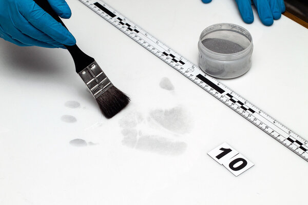 Отпечатки пальцев