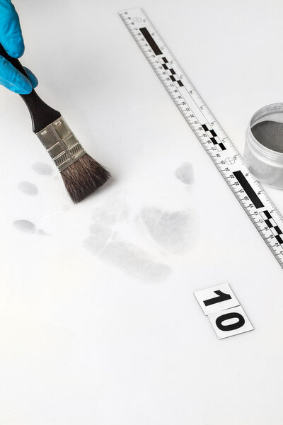 Отпечатки пальцев