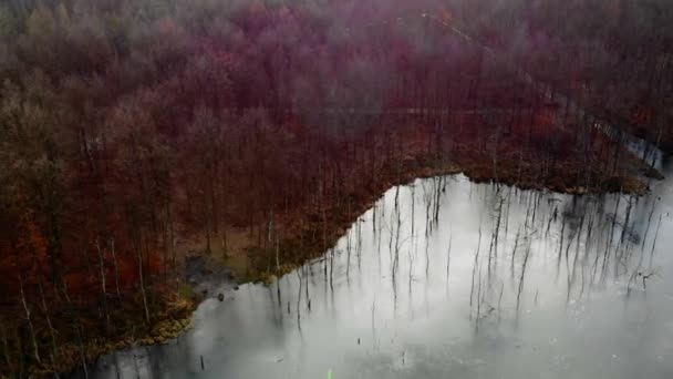 Excavation Minière Inondée Eau Dans Les Bois — Video