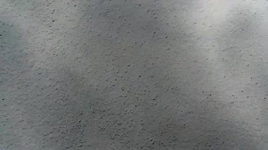 Duvara düşen gölge. Sabah güneşinin şeffaf bulanık gölgesi.