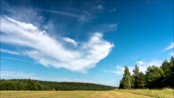 夏日阳光灿烂 天空中飘扬着云彩 — 图库视频影像