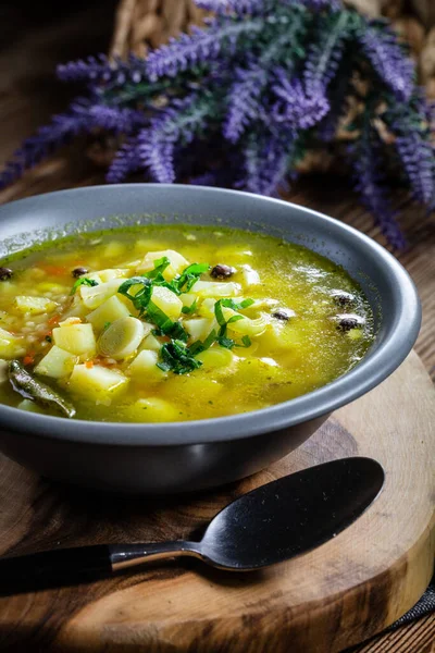 Polish barley soup with vegetables and chicken - krupnik.