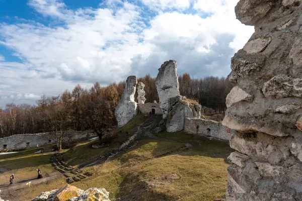 OGRODZIENIEC, POLAND - 27 Şubat 2022: Tarihi binayı ziyaret eden turistlerle birlikte Ogrodzieniec şatosunun kalıntıları.