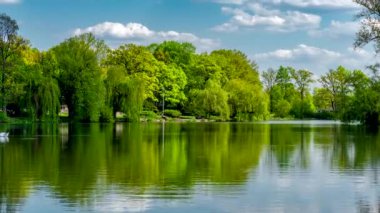 Peyzajlı gölet, ağaçlar ve mavi gökyüzü ile yeşil kentsel park.