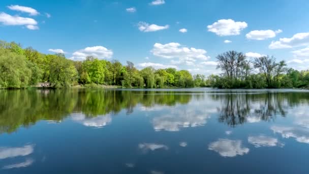 Zelený Městský Park Upraveným Rybníkem Stromy Modrou Oblohou — Stock video