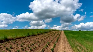 Mavi gökyüzü hareket ediyor. 4K Zaman Hızı.