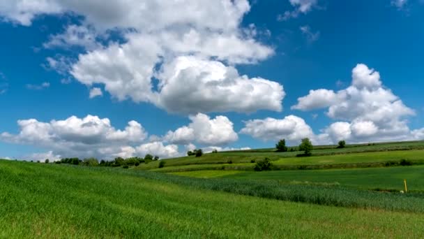 Cielo Azul Con Nubes Moviéndose Timelapse — Vídeo de stock