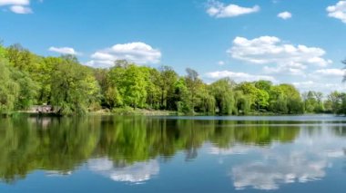 Peyzajlı gölet, ağaçlar ve mavi gökyüzü ile yeşil kentsel park.