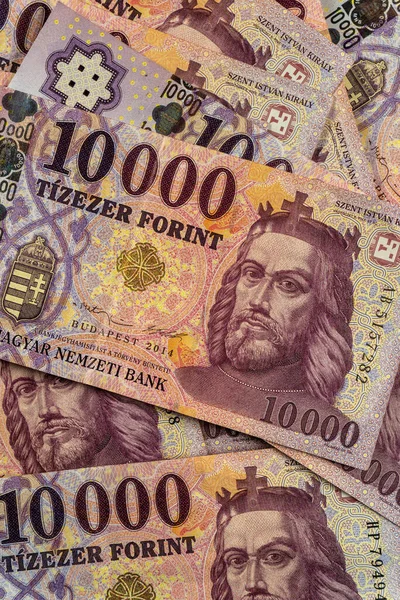 Hongaarse Forint Bankbiljetten 10000 Forint Bankbiljet — Stockfoto