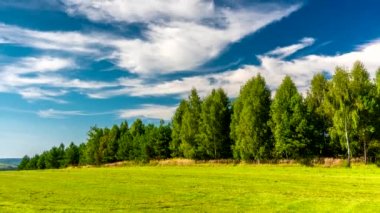 Güneşli bir yaz gününde gökyüzünde bulutlar süzülür..