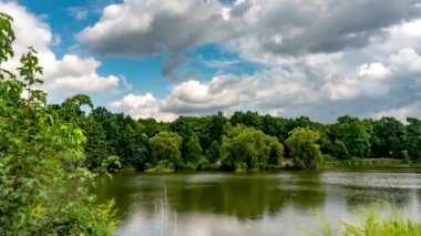 Güneşli bir yaz gününde, huzurlu gölün kıyılarında yeşil ağaçlar büyüyor..