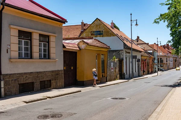 Eger Hungary Hazi Ran 2022 — Stok fotoğraf