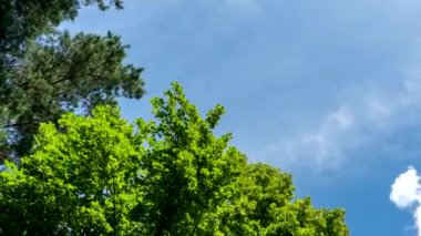 Mavi gökyüzü beyaz bulutlar. Yaz mavi gökyüzü zaman aşımı.