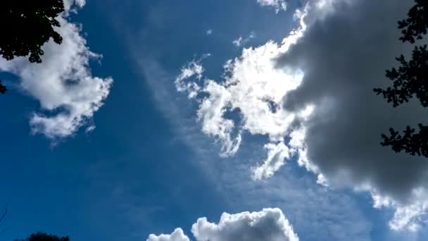 Blue Sky White Clouds Summer Blue Sky Time Lapse — Video