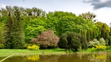 Peyzajlı gölet, ağaçlar ve mavi gökyüzü ile yeşil kentsel park.