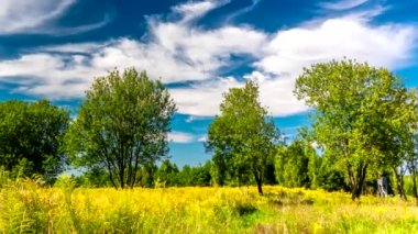 Güneşli bir yaz gününde gökyüzünde bulutlar süzülür..