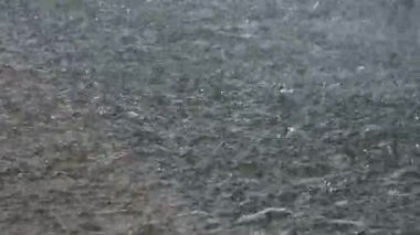 Bardaktan boşanırcasına yağmur yağıyor..