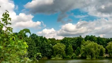 Güneşli bir yaz gününde, huzurlu gölün kıyılarında yeşil ağaçlar büyüyor..