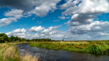 Narew nehrindeki çayırlar.