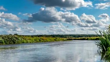 Narew nehrindeki çayırlar.