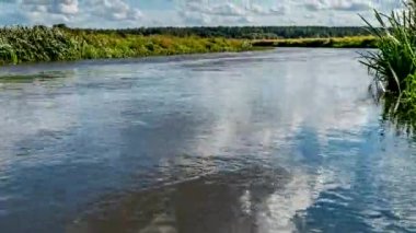 Narew nehrindeki çayırlar.