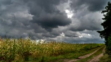Gökyüzünde hareket eden bulutlar Podlasie ormanları, tarlaları ve çayırları arasında.