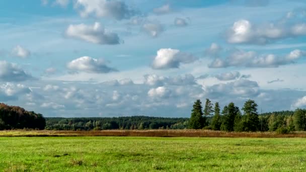 Clouds Moving Sky Forests Fields Meadows Podlasie — Stock Video