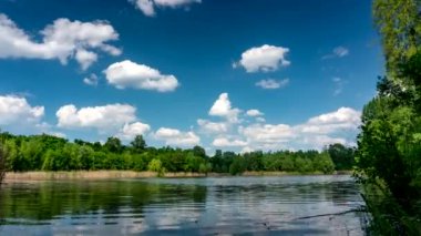 Güneşli bir yaz gününde, huzurlu gölün kıyılarında yeşil ağaçlar büyüyor..