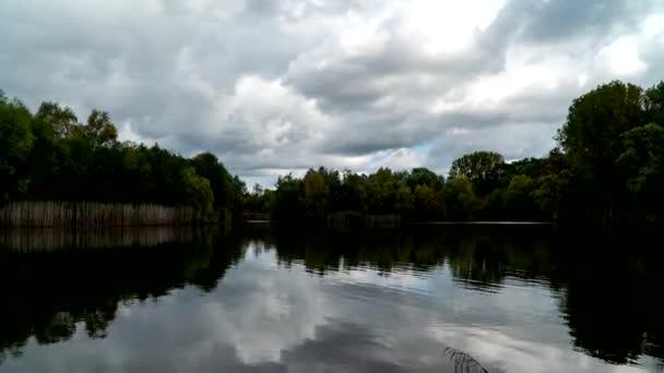 Arbres Automne Poussant Sur Les Rives Lac Paisible Par Une — Video