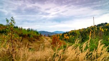 Sonbahar dağlarının güzel renkleri.
