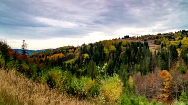 Sonbahar dağlarının güzel renkleri.