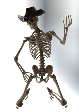 ölü kovboy