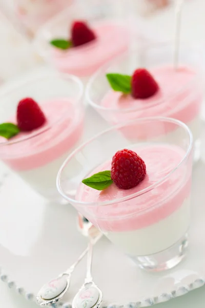 Raspberry yogurt dessert — Stock Photo, Image