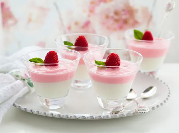 Raspberry yogurt dessert — Stock Photo, Image