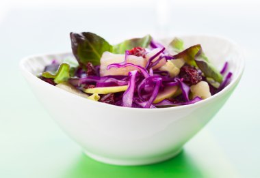 Red cabbage salad clipart