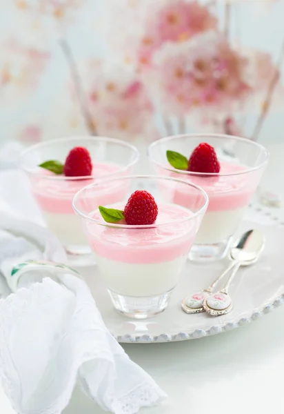 Raspberry yogurt dessert — Stock Photo, Image