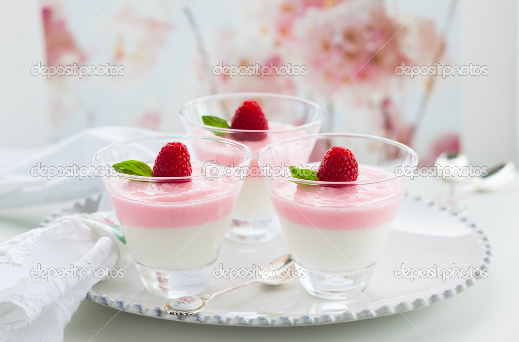 Raspberry yogurt dessert