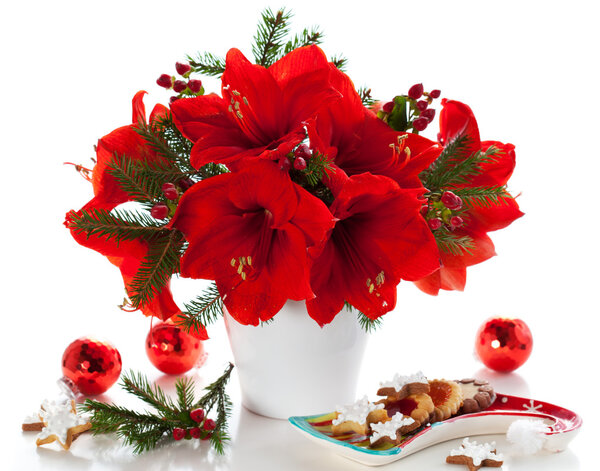 Christmas arrangement of amaryllis